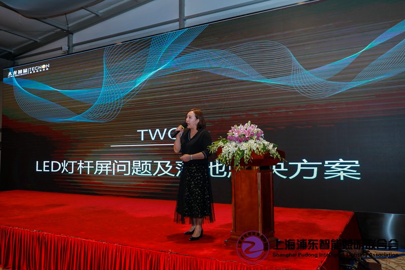 智慧路燈LED燈桿屏3.jpg 智慧路燈LED燈桿屏3.jpg