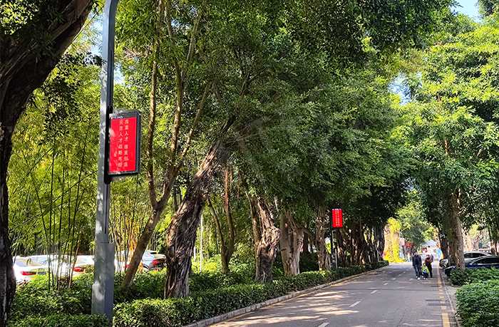 LED燈桿屏 LED燈桿屏