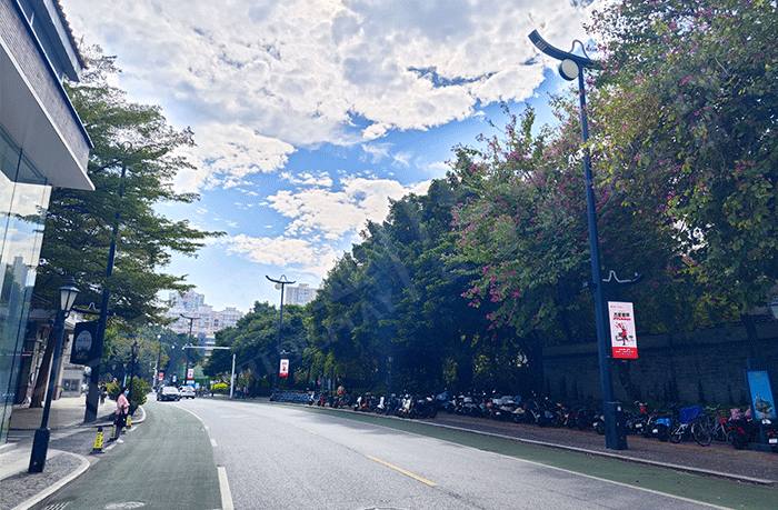 LED燈桿屏,燈桿屏 LED燈桿屏,燈桿屏