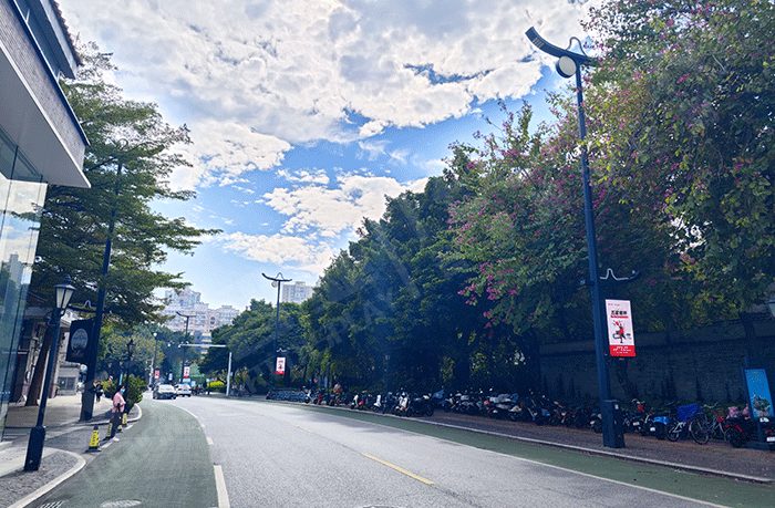 農文旅場景燈桿廣告屏動態信息發布 農文旅場景燈桿廣告屏動態信息發布